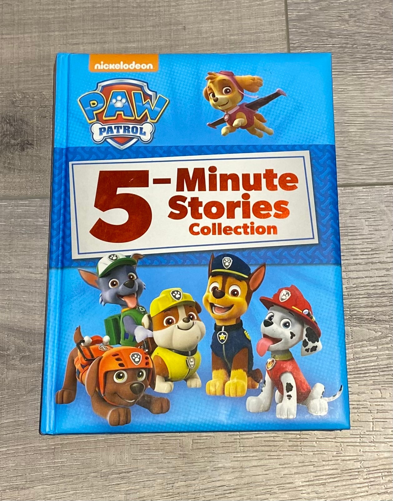 Ricochet Reading Room - Paw Patrol 5 Minute Stories