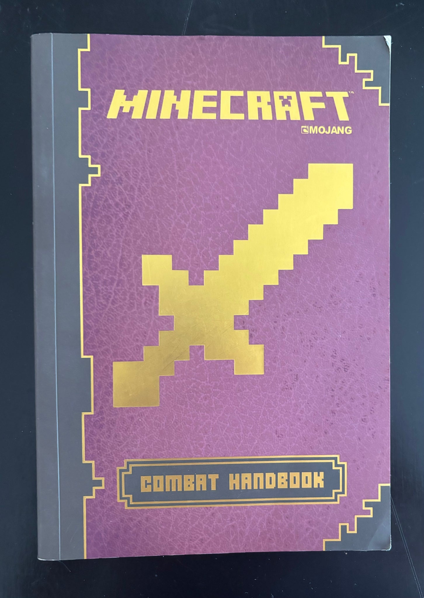 Ricochet Reading Room - Minecraft Book